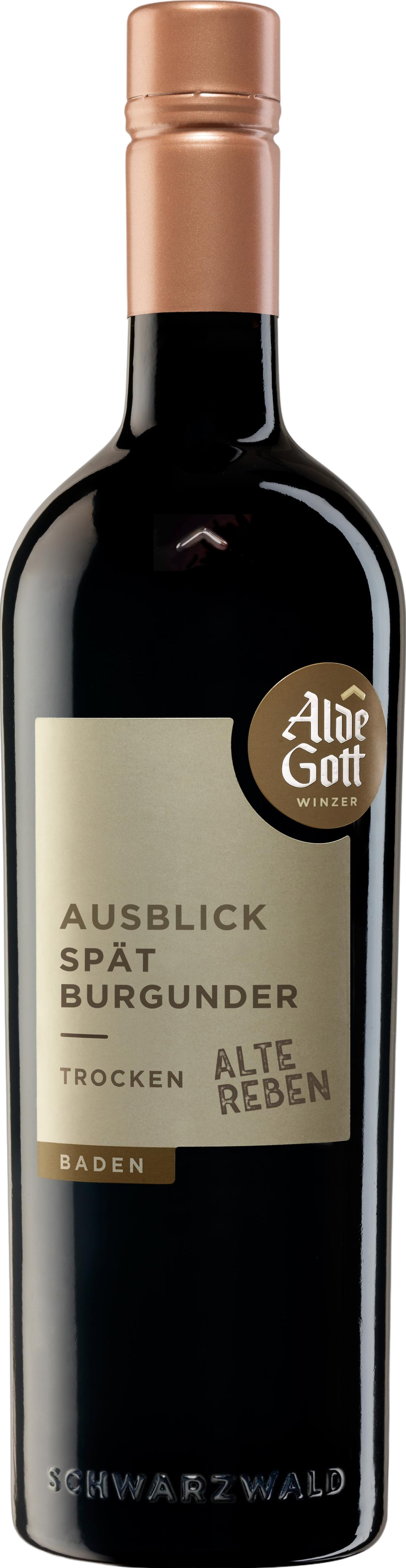 Ausblick Spätburgunder Alte Reben Spätburgunder