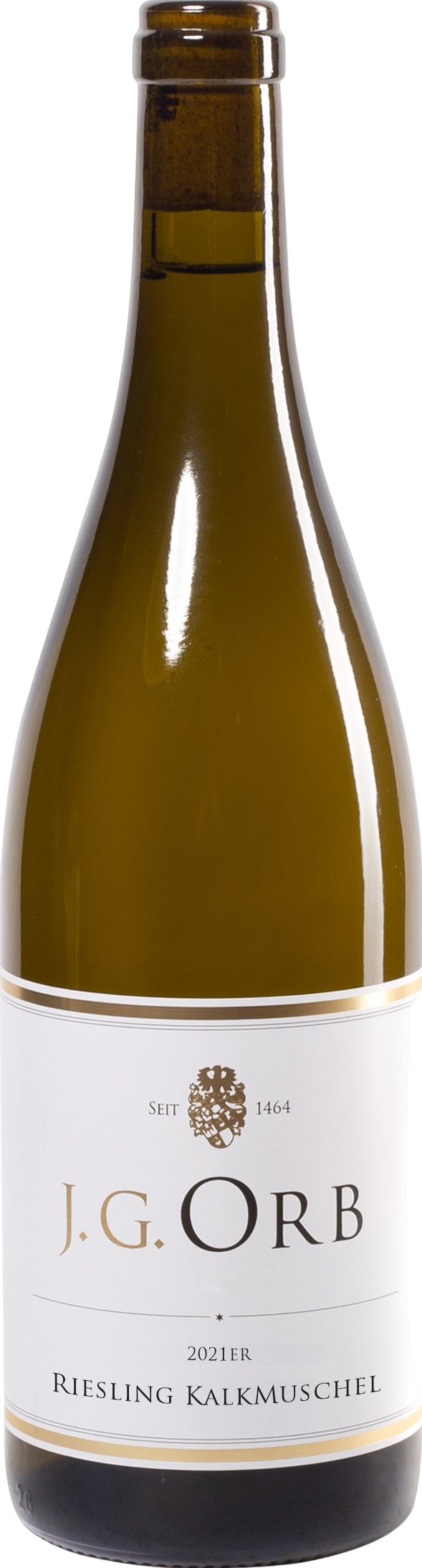 Kalkmuschel Riesling